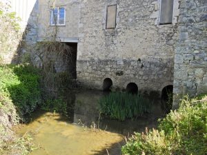 Visite du moulin avec Roger 6