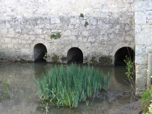 Trois canaux de fuite